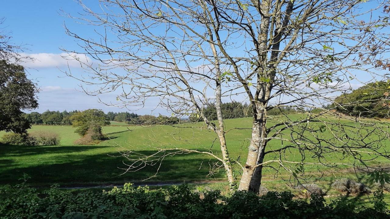 L'Ancien Presbytere Lescouet-Gouarec Eksteriør billede